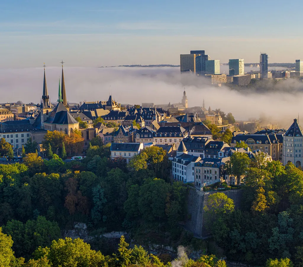 Consulting industry case studies Framing Impact Luxembourg Diwan Consulting
