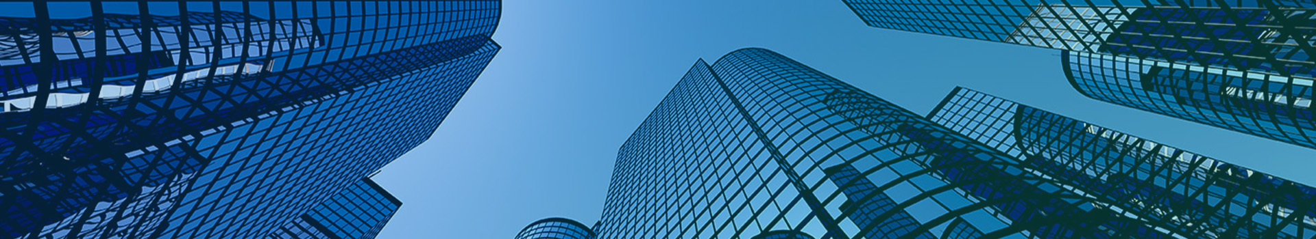 Organisation Diwan consulting