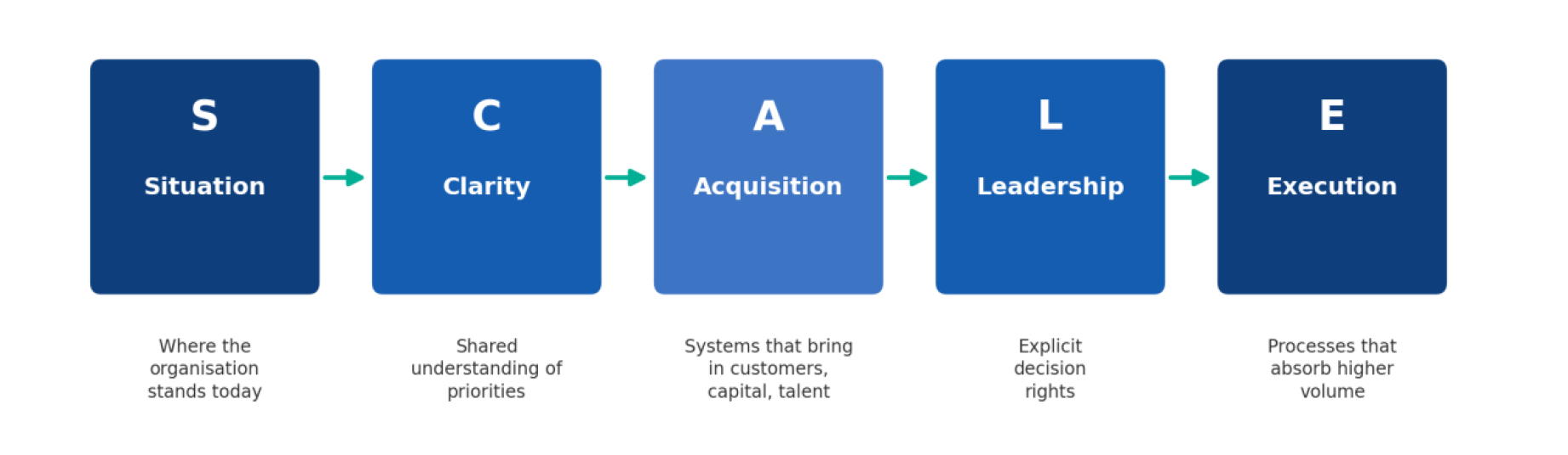 The SCALE Canvas methodology, Mohamed SI AHMED and Diwan Consulting